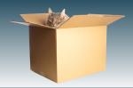 Cat in a box