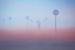 fog