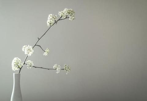 Flowers in a vase