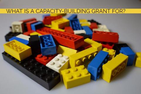 What is a capacity building grant for?
