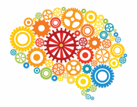 Brain