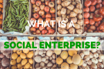 What is a social enterprise?