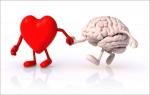 Heart and brain